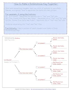 dichotomous key anchor chart