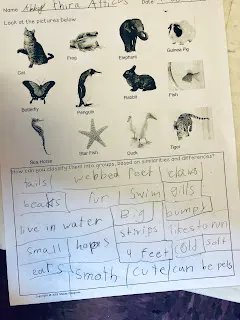 Classifying physical and behavioral traits Using traits on dichotomous key